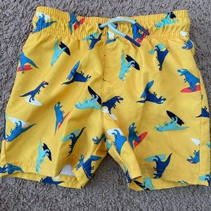 Swimming shorts